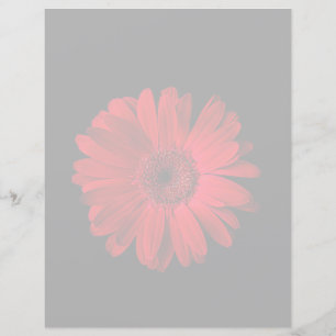 Flowers Red Gerbera Daisy