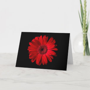 Flowers Red Gerbera Daisy Card