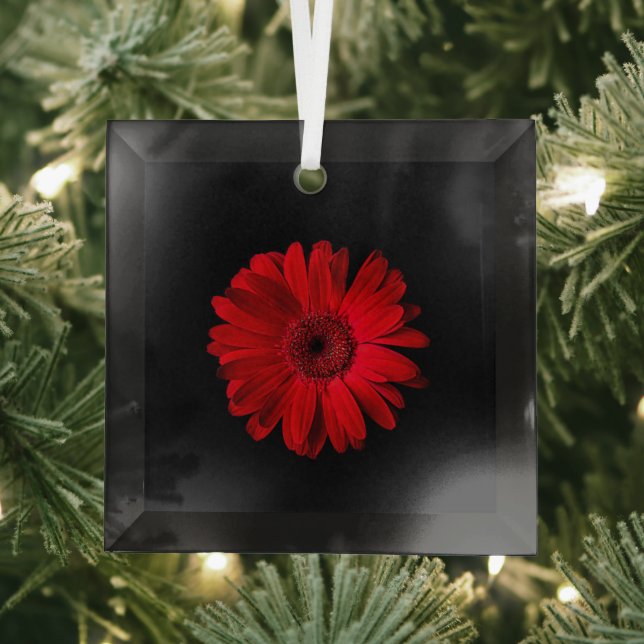 Flowers | Red Gerbera Daisy Glass Tree Decoration (Insitu)
