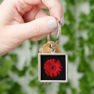 Flowers Red Gerbera Daisy Key Ring