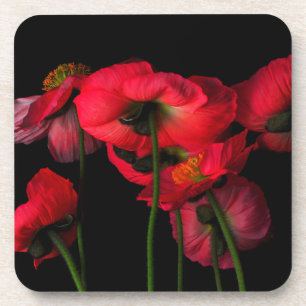 Flowers   Red Poppies Coaster