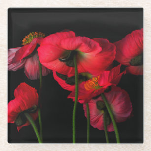 Flowers   Red Poppies Glass Coaster