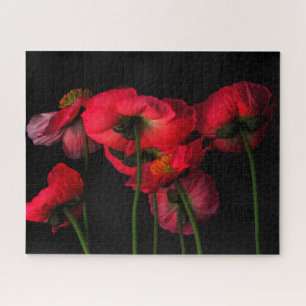 Flowers Red Poppies Jigsaw Puzzle