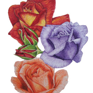 flowers red roses and rose buds floral art cushion