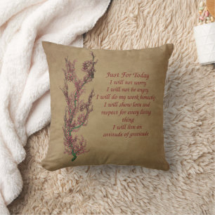 Flowers Reiki Just For Today Inspirational Cushion