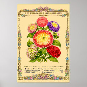 Flowers Retro Victorian Era Botanical Art Poster