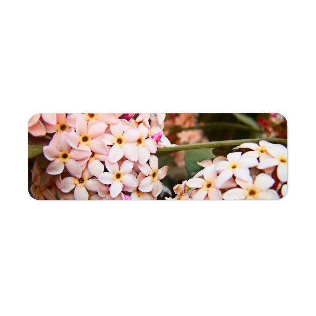 FLowers Return Address Label (Front)