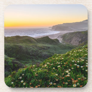Flowers Santa Cruz California Coaster