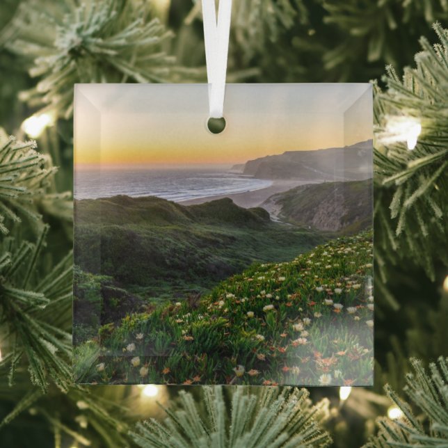 Flowers | Santa Cruz California Glass Tree Decoration (Insitu)