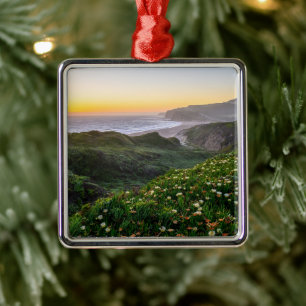 Flowers   Santa Cruz California Metal Ornament