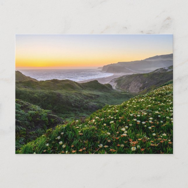 Flowers | Santa Cruz California Postcard (Front)