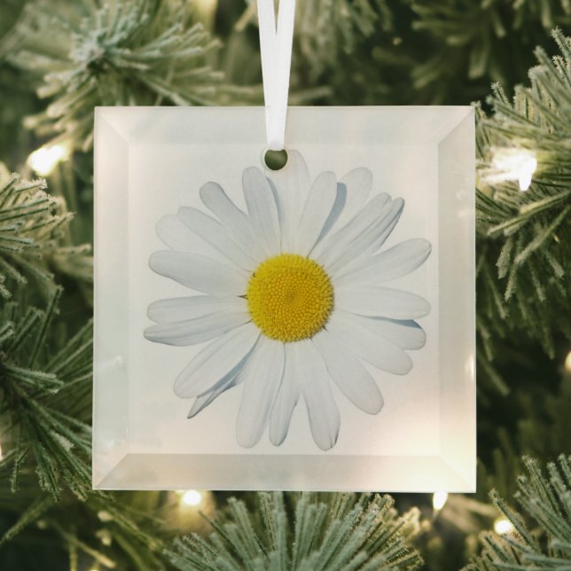 Flowers | Single Daisy Glass Tree Decoration (Insitu)