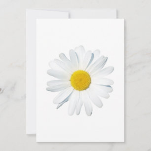 Flowers   Single Daisy Thank You Card