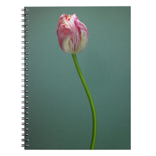 Flowers | Single Tulip Flower Notebook (Front)