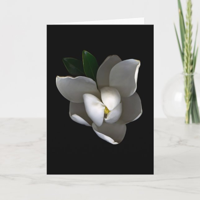 Flowers | Single White Magnolia Blossom Card (Front)