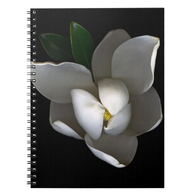 Flowers | Single White Magnolia Blossom Notebook (Front)