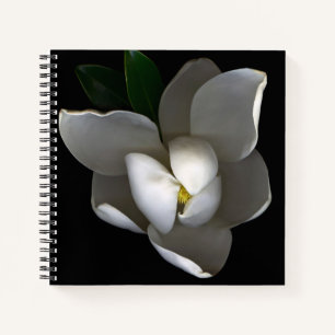 Flowers Single White Magnolia Blossom Notebook