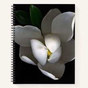 Flowers Single White Magnolia Blossom Notebook