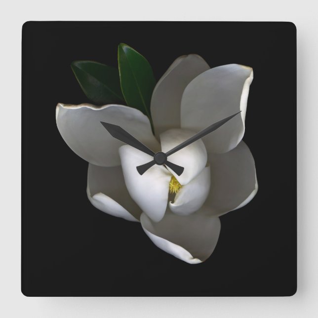Flowers | Single White Magnolia Blossom Square Wall Clock (Front)