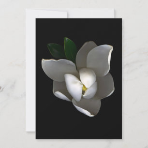 Flowers   Single White Magnolia Blossom Thank You Card