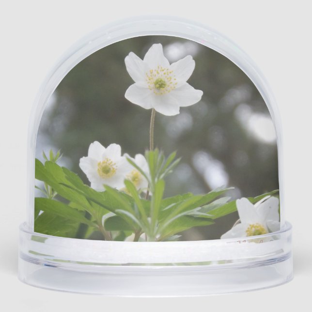 flowers snowglobe (Front)