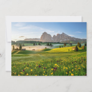Flowers Spring Alpe di Siusi Langkofel Thank You Card
