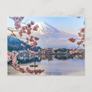 Flowers   Spring Cherry Blossoms Japan Postcard