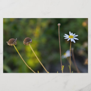 Flowers Stationery