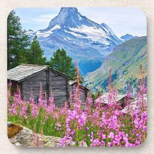 Flowers Summer Matterhorn Switzerland Coaster