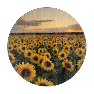 Flowers | Sunflower Field Cutting Board