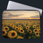 Flowers | Sunflower Field Laptop Sleeve<br><div class="desc">This amazing Getty Images photo features a sunflower field at sunset.</div>