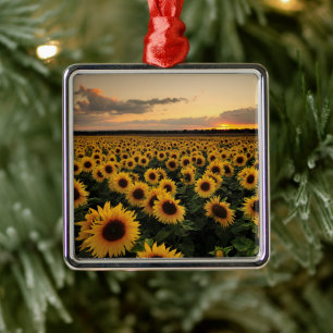 Flowers   Sunflower Field Metal Ornament