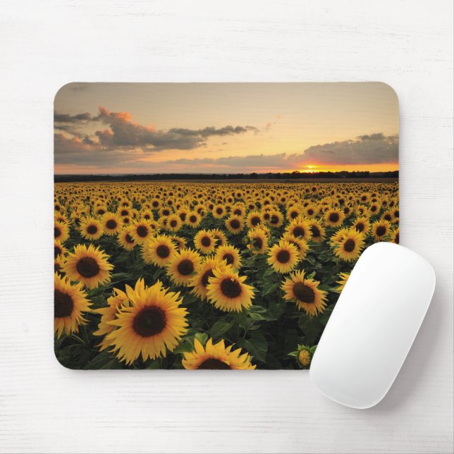Flowers | Sunflower Field Mouse Pad (With Mouse)