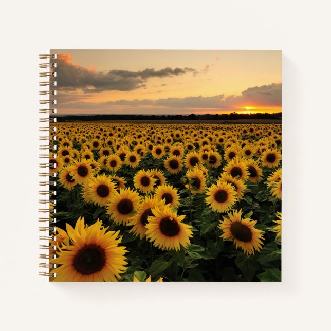 Flowers | Sunflower Field Notebook (Front)
