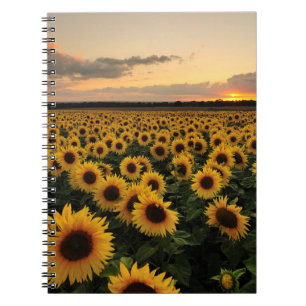Flowers   Sunflower Field Notebook