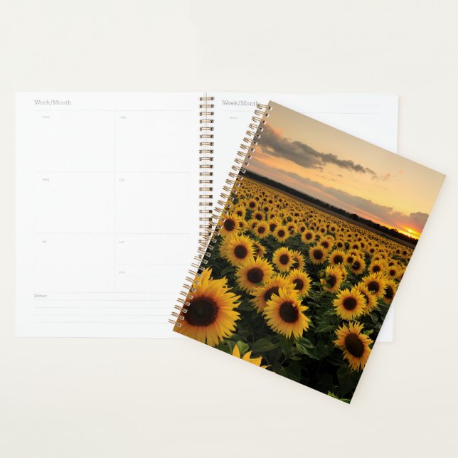 Flowers | Sunflower Field Planner (Display)