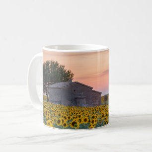 Flowers Sunflower Field Provence, France Coffee Mug