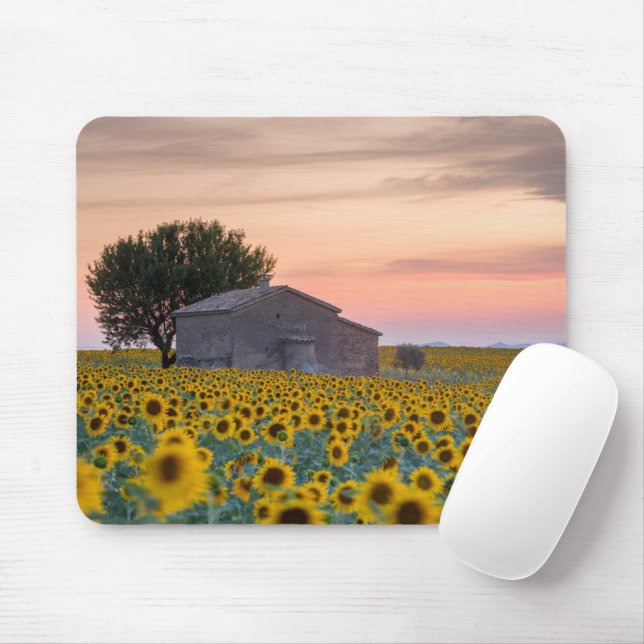 Flowers | Sunflower Field Provence, France Mouse Pad (With Mouse)