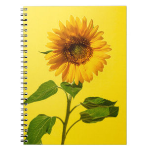 Flowers Sunflower on Yellow Notebook