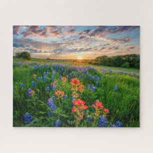 Flowers   Texas Bluebonnets & Indian Paintbrush Jigsaw Puzzle