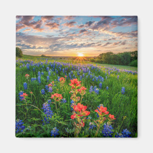 Flowers   Texas Bluebonnets & Indian Paintbrush Magnet
