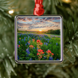 Flowers Texas Bluebonnets & Indian Paintbrush Metal Ornament