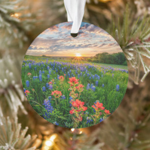 Flowers   Texas Bluebonnets & Indian Paintbrush Ornament