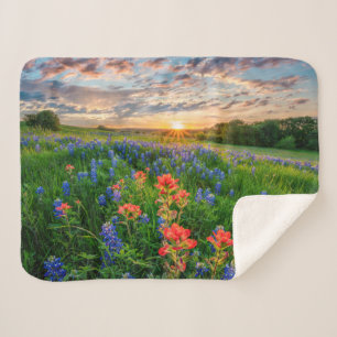 Flowers   Texas Bluebonnets & Indian Paintbrush Sherpa Blanket