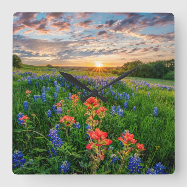 Flowers | Texas Bluebonnets & Indian Paintbrush Square Wall Clock (Front)