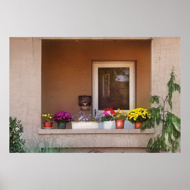 Flowers - Thinking of Spring Poster (Front)