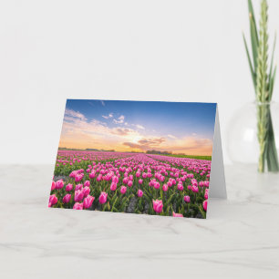 Flowers Tulips South Holland, Netherlands Card