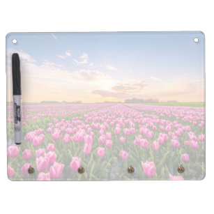 Flowers   Tulips South Holland, Netherlands Dry Erase Board With Key Ring Holder