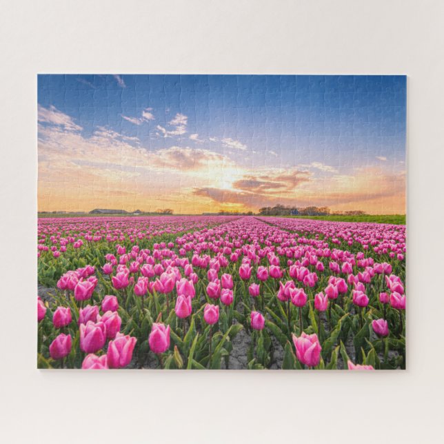 Flowers | Tulips South Holland, Netherlands Jigsaw Puzzle (Horizontal)