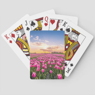 Flowers Tulips South Holland, Netherlands Playing Cards